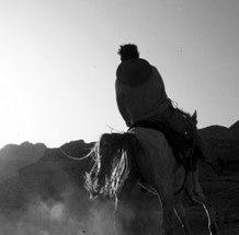 智能监控预警的免费ddos防火墙